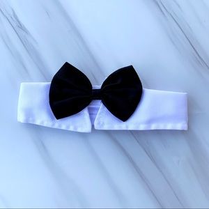 Collared Bow tie for pets